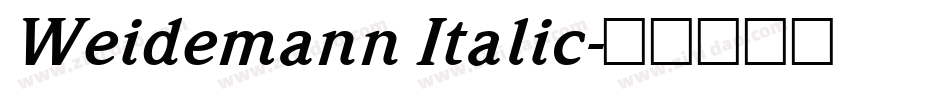 Weidemann Italic字体转换